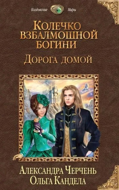 Постер книги Дорога домой