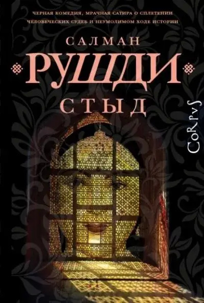 Постер книги Стыд