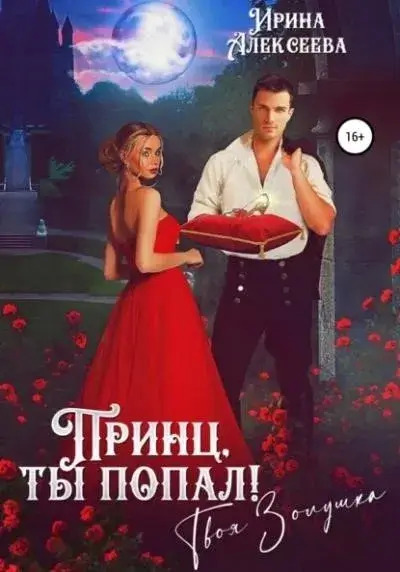 Постер книги Принц, ты попал! Твоя Золушка