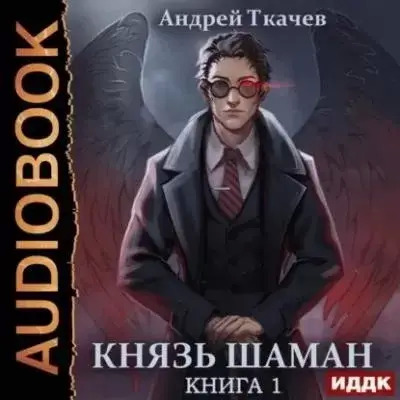 Постер книги Князь шаман. Книга 1