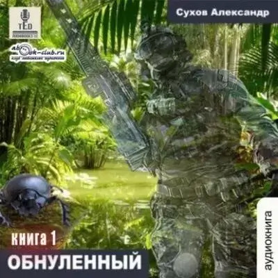 Постер книги Обнулённый