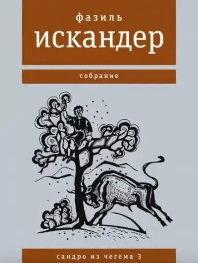 Постер книги Широколобый