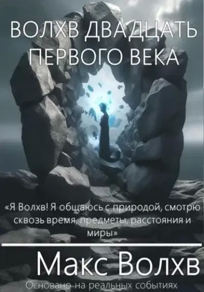 Постер книги Волхв двадцать первого века