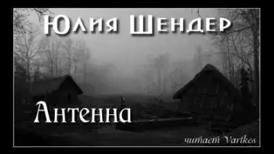 Постер книги Антенна