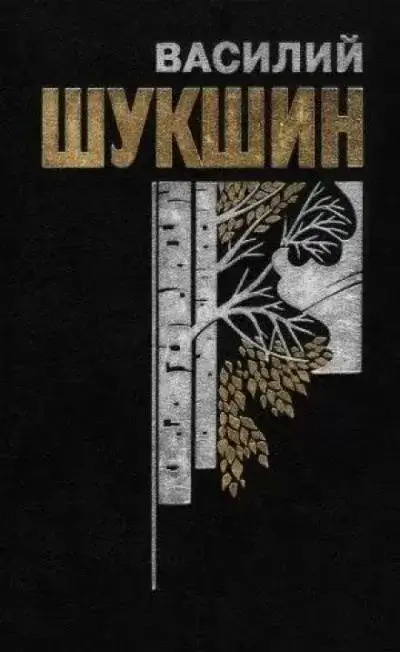 Постер книги Лёля Селезнёва с факультета журналистики