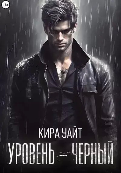 Постер книги Уровень – Черный