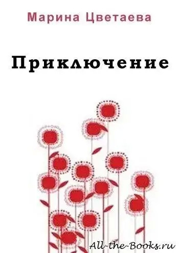 Постер книги Приключение