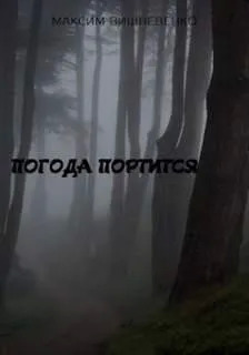 Постер книги Погода портится