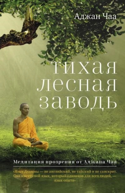 Постер книги Тихая лесная заводь. Медитация прозрения от Аджана Чаа