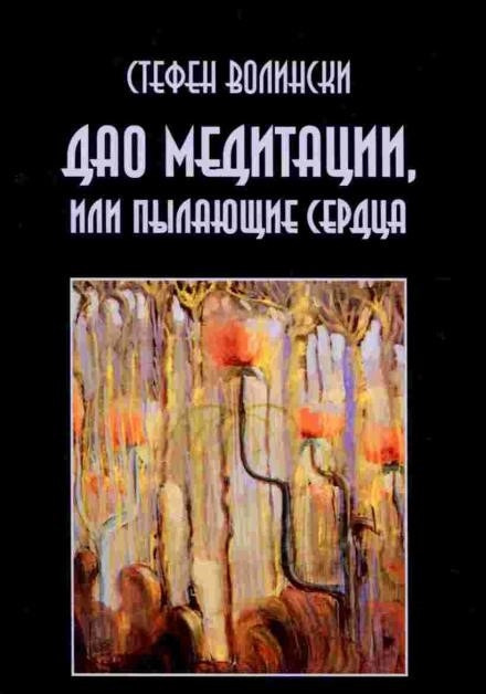 Постер книги Дао медитации или пылающие сердца