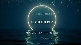 Постер книги Сувенир