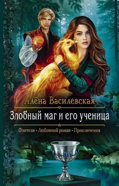 Постер книги Злобный маг и его ученица