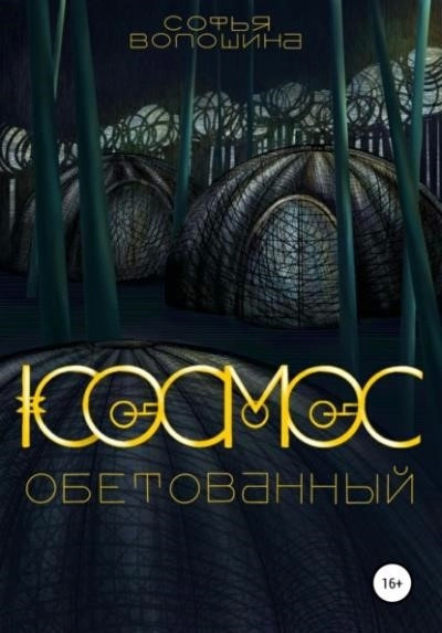 Постер книги Космос обетованный