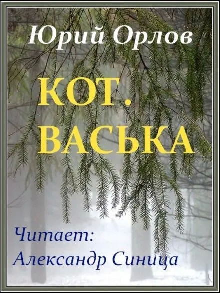 Постер книги Кот. Васька