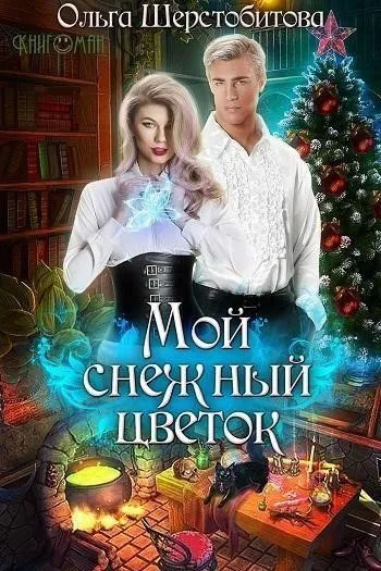 Постер книги Мой снежный цветок