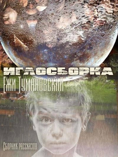 Постер книги Иглосборка (Сборник рассказов)