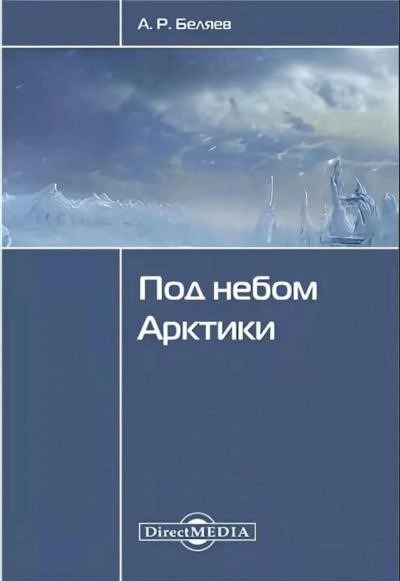 Постер книги Под небом Арктики