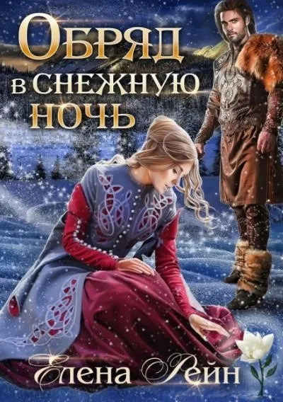 Постер книги Обряд в снежную ночь