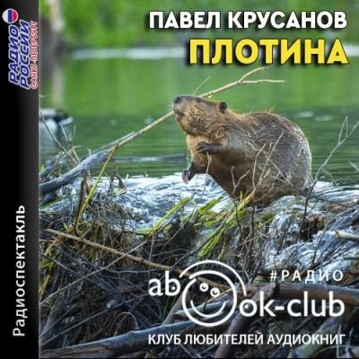 Постер книги Плотина