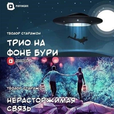 Постер книги Нерасторжимая связь. Трио на фоне бури