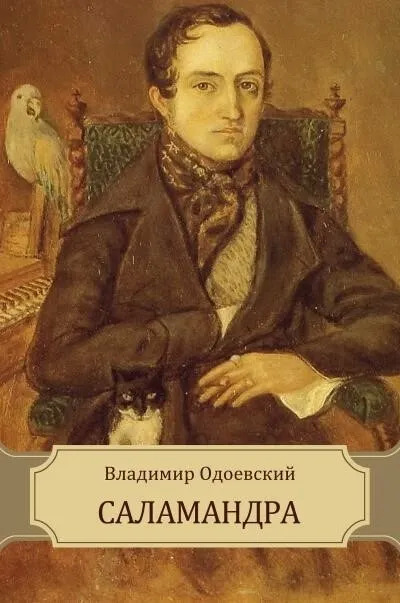 Постер книги Саламандра