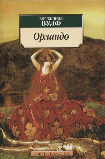 Постер книги Орландо