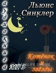 Постер книги Котенок и звезды