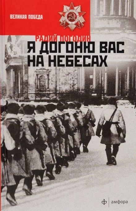 Постер книги Я догоню вас на небесах