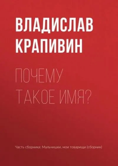 Постер книги Почему такое имя?