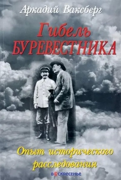 Постер книги Гибель "Буревестника". Опыт исторического расследования