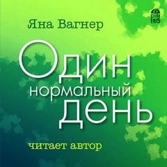 Постер книги Один нормальный день