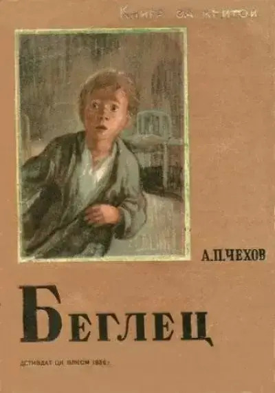 Постер книги Беглец