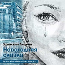 Постер книги Новогодняя сказка