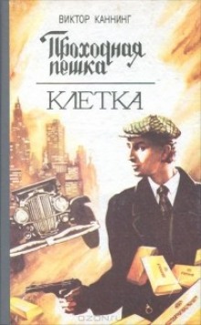 Постер книги Проходная пешка