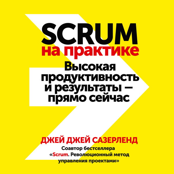 Постер книги Scrum на практике