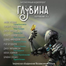 Постер книги ГЛУБИНА. Погружение 17-е