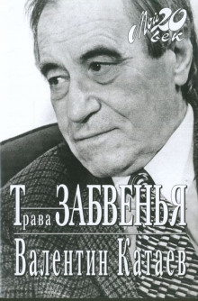 Постер книги Трава забвенья