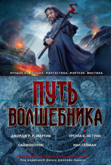 Постер книги Путь волшебника