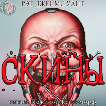 Постер книги СКИНЫ