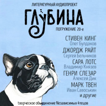 Постер книги ГЛУБИНА. Погружение 20-е