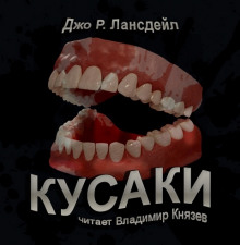 Постер книги Кусаки