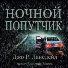 Постер книги Ночной попутчик