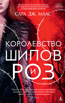 Постер книги Королевство шипов и роз