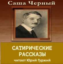 Постер книги Сатирический рассказы