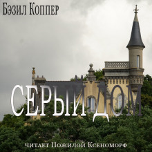 Постер книги Серый дом