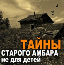 Постер книги Амбарник