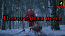 Постер книги Новогодняя ночь