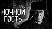 Постер книги Ночной гость