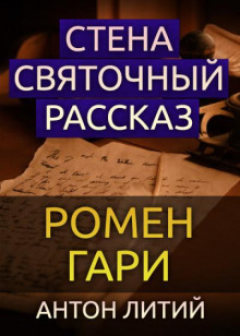 Постер книги Стена