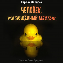 Постер книги Человек, поглощенный местью